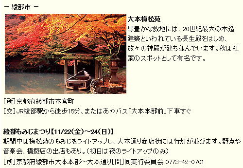 大本梅松苑 緑豊かな敷地には、20世紀最大の木造建築といわれている長生殿をはじめ、数々の神殿が建ち並んでいます。秋は紅葉のスポットとして有名です。 綾部もみじまつり【11/22（金）～24（日）】  期間中は梅松苑のもみじをライトアップし、大本通り商店街には行灯が並びます。野点や音楽会、模擬店の出店もあり。（初日は夜のライトアップのみ） 