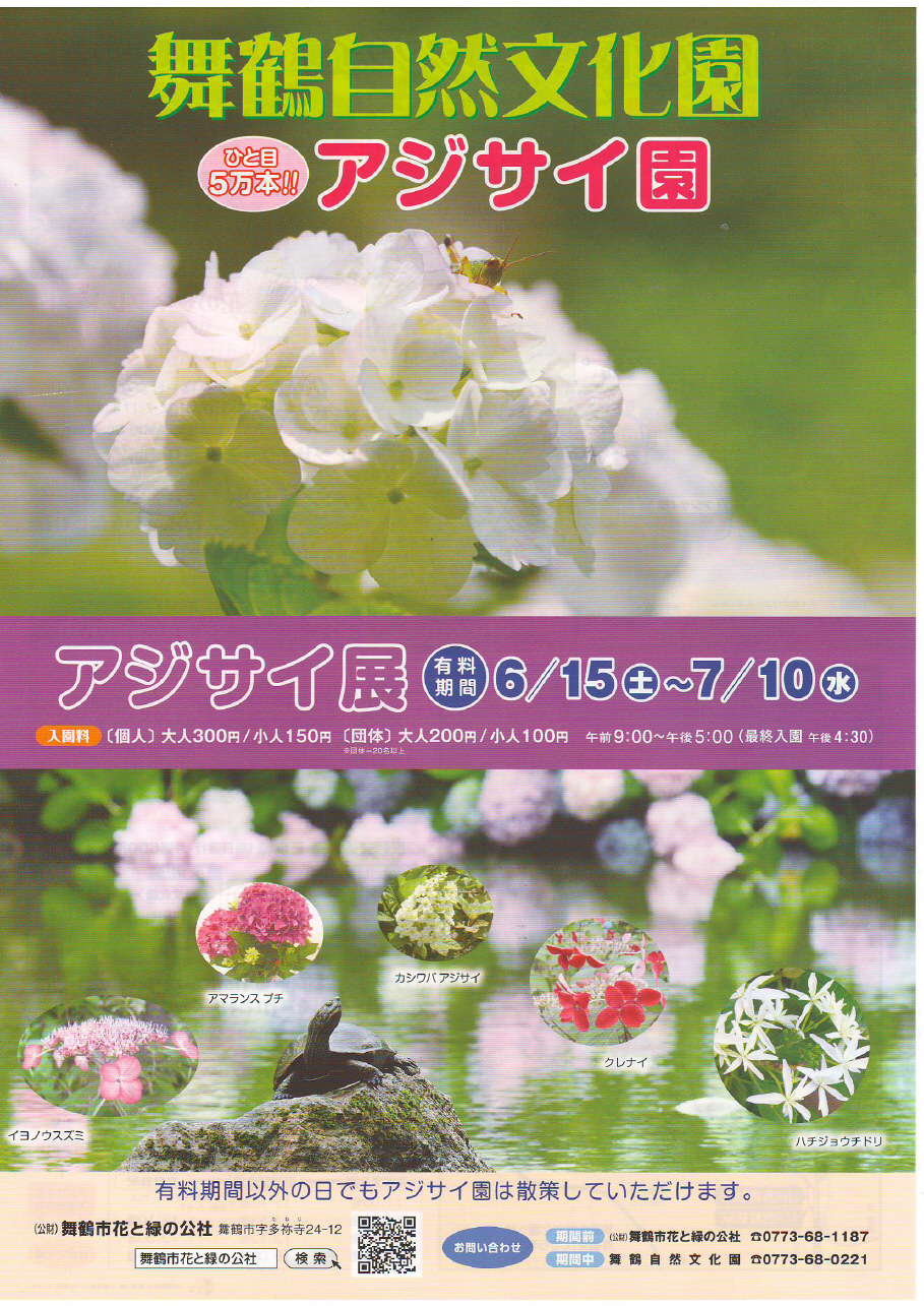 舞鶴　旅館　銀水閣　ひと目５万本舞鶴自然文化園　アジサイ展２０１３