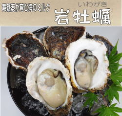 舞鶴港が育む海のミルク　岩牡蠣